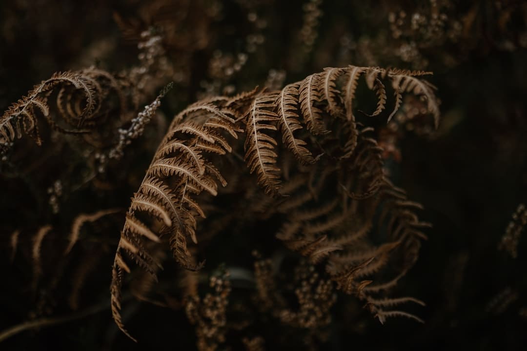 那尔那茜涉嫌高考报名资料造假 三部待播著作或受牵连